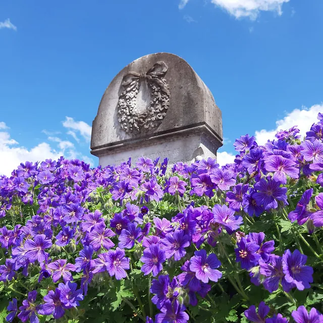Sommerblomster med gravsten i baggrunden