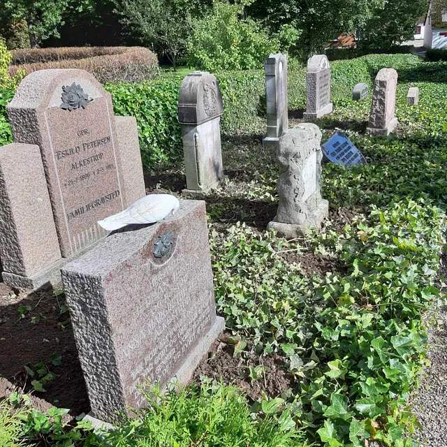 Lapidarium med gravsten